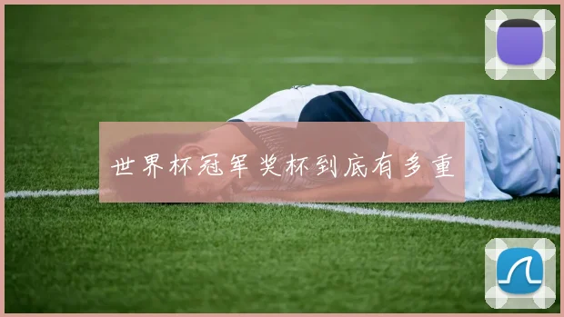 世界杯冠军奖杯到底有多重