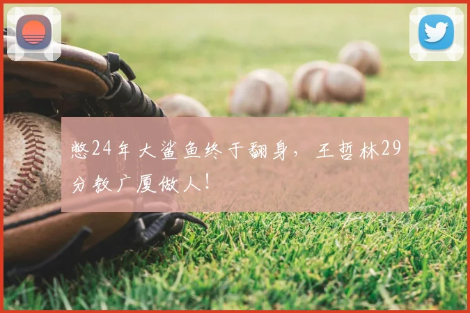 憋24年大鲨鱼终于翻身,王哲林29分教广厦做人!